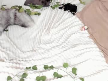 female cam girl _servuss_ image #2269805