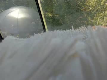 female cam girl sassyt33n image #2624059