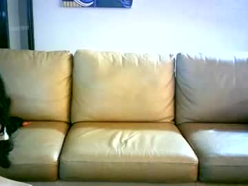 female cam girl hornypetitegirl77 image #2158906