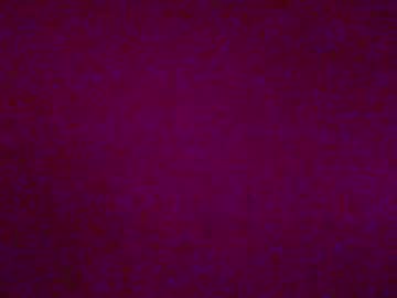 female cam couple bobbertcatlynson image #1432787