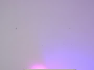 female cam girl sapphirealice image #1262668