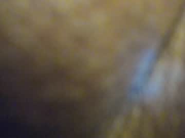 female cam girl so_sweet_poppy image #360267