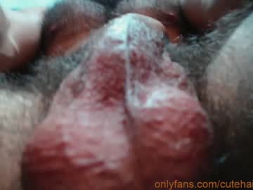 female cam man cutehairymacho image #2222617