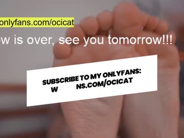 female cam girl ocicat image #2263567