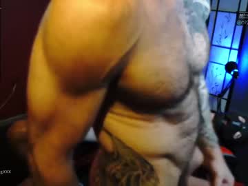 female cam man muscle_dog image #264687