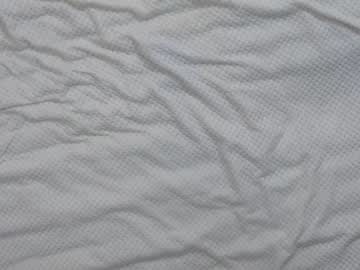 female cam girl shycinderella image #1594697