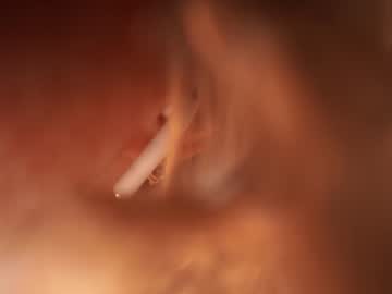 female cam girl pussy__money__weed image #2221455