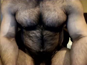 female cam man heavenlymuscledbeast image #1402496