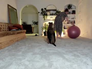 female cam girl pretendlunch image #1695860