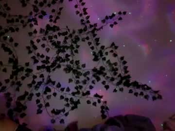 female cam girl trippyhippieex image #1596929