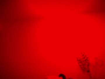 female cam girl auddicted image #1216230