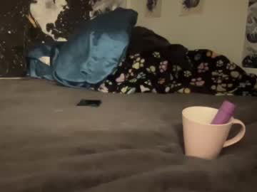 female cam girl untamedbabee image #1398993