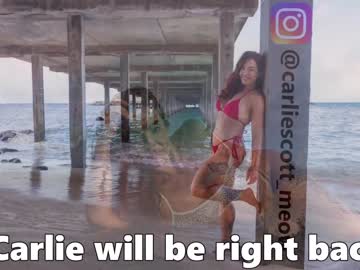 female cam girl carliescott_meow image #3139897