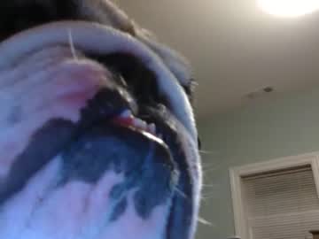 female cam girl xxsashas image #3524051