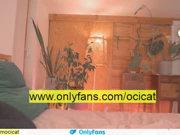 female cam girl ocicat image #2534633
