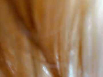 female cam girl tinaaarpp image #2065993