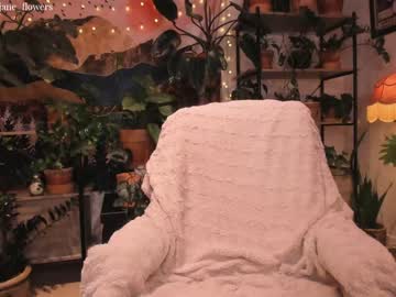 female cam girl jane_flowers image #1549984