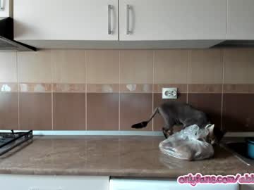 female cam girl abbybunnyy image #1439683