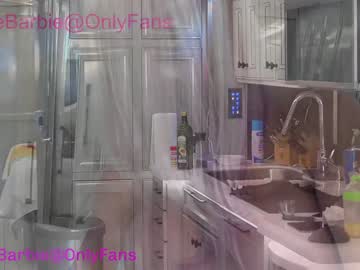 female cam girl rvlifebarbie image #2511952
