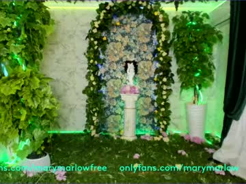female cam girl mary_marlow image #1053472
