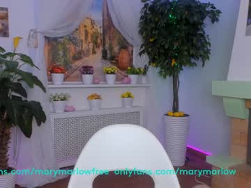female cam girl mary_marlow image #1392294
