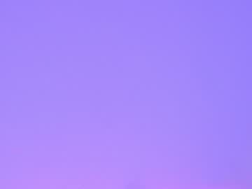 female cam girl shycinderella image #1071610