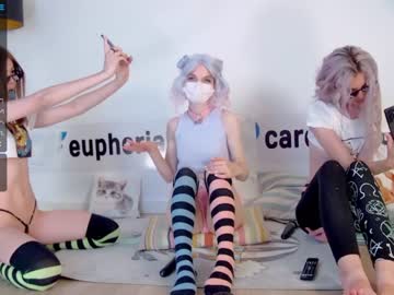 female cam girl careful_i_bite image #2252742