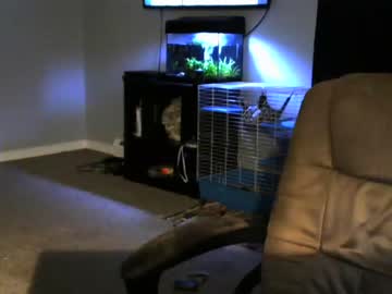 female cam man sean0203 image #173242