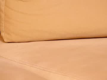 female cam girl shycinderella image #2337460