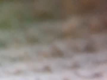 female cam man theboyjacc image #857136