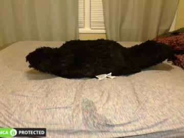 female cam girl pursueme_ image #580704