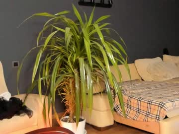 female cam girl linellali image #2790180