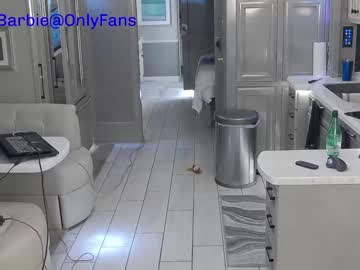 female cam girl rvlifebarbie image #2490336