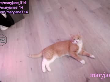 female cam girl maryjane_314 image #2507999