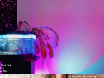 female cam girl nebamazee image #977169