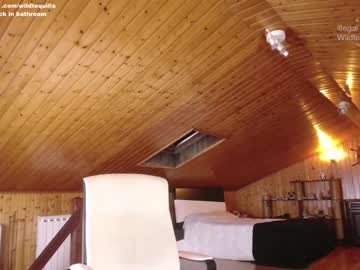 female cam girl wildtequilla image #1628608