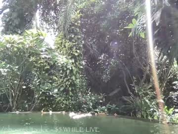 female cam girl phoenix_taylor image #2979679