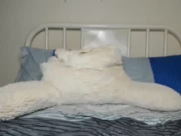 female cam man willyt98 image #2541779