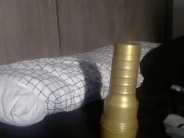 thelincolngrey  webcam