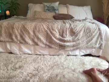 female cam girl phoenix_taylor image #2183239