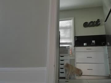 female cam girl lilbeccaxo image #3637085