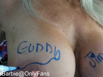female cam girl rvlifebarbie image #1916321