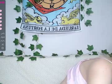 female cam girl shycinderella image #3449026