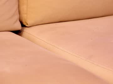 female cam girl shycinderella image #2649989