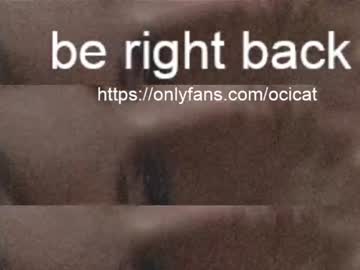 female cam girl ocicat image #2657778