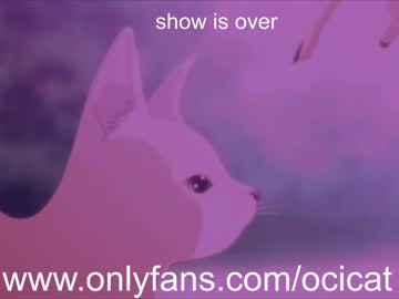 female cam girl ocicat image #2414087