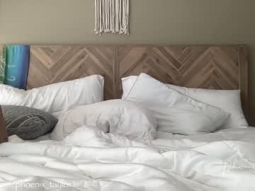 female cam girl phoenix_taylor image #2585050