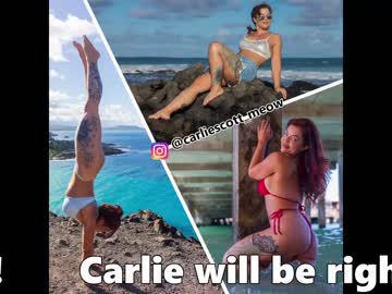 female cam girl carliescott_meow image #2723163