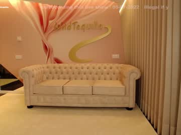 female cam girl wildtequilla image #2139937