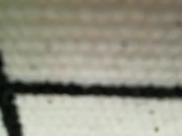 female cam girl pootie_tangs_ex image #1465857